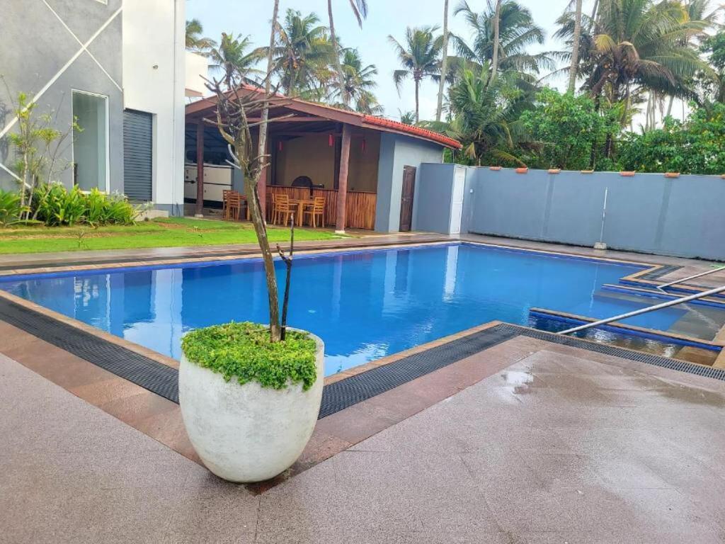 Canela Villa And Resort Ahangama Bagian luar foto